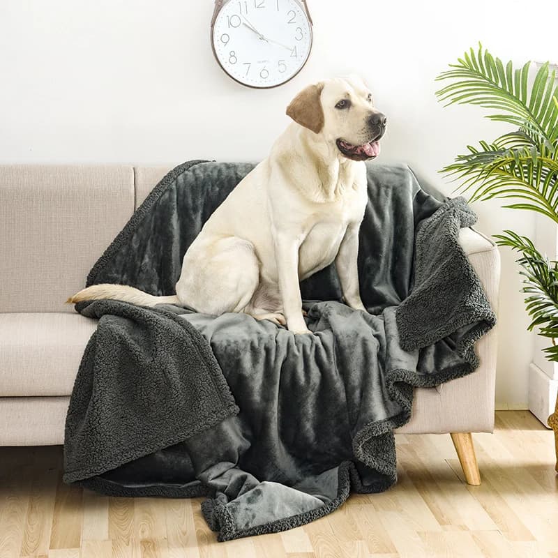 Wasserdichte Reisedecke für Hunde – Schutz für Auto, Sofa & Unterwegs — Produktfoto
